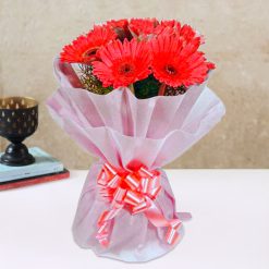 Pink Gerbera In Pink Paper Packing