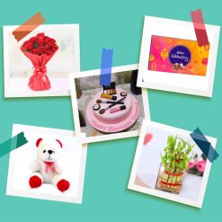 Cosmetics Makeup Cake Delight Combo