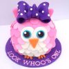 Owl Designer Birthday Cake 800X800 1